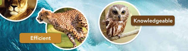 core values video blog